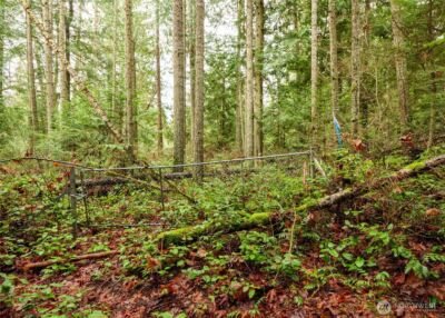 0 NKA Scribner Road , Port Angeles, WA 98362 - Photo 30