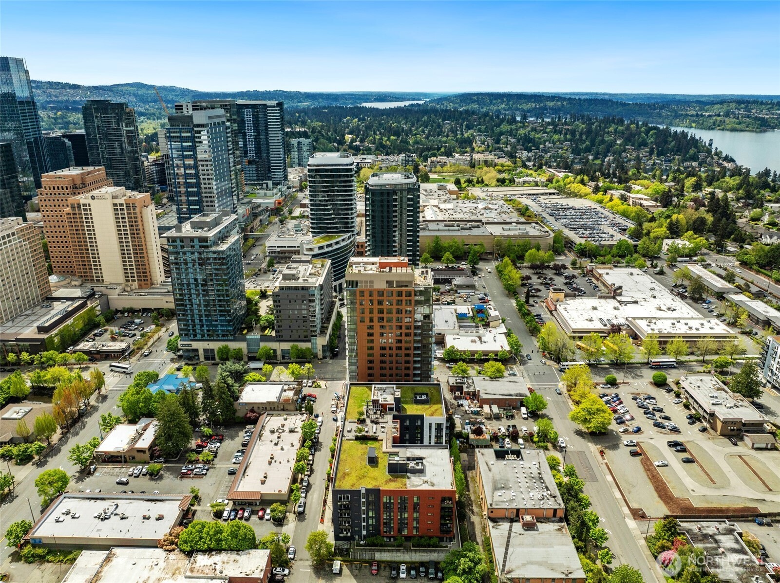 1085 103rd Avenue NE #617, Bellevue, WA 98004