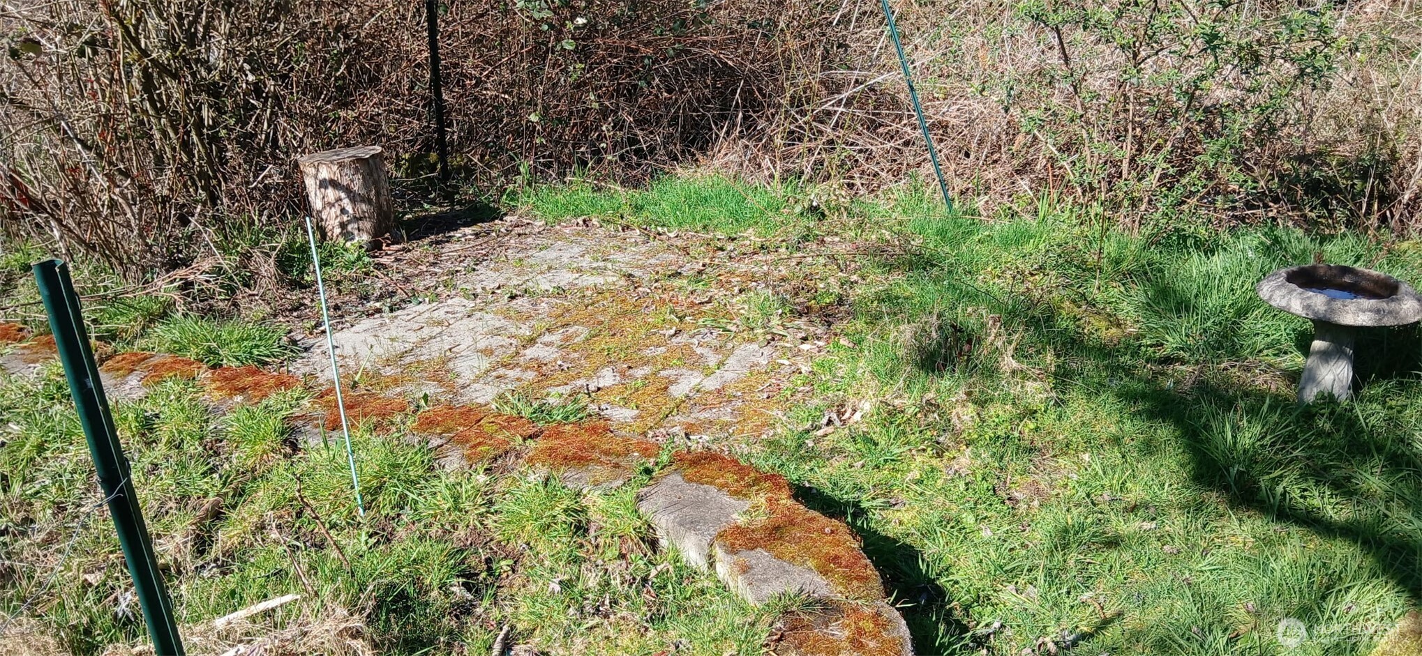 17242 Heather Lane SE, Yelm, WA 98597