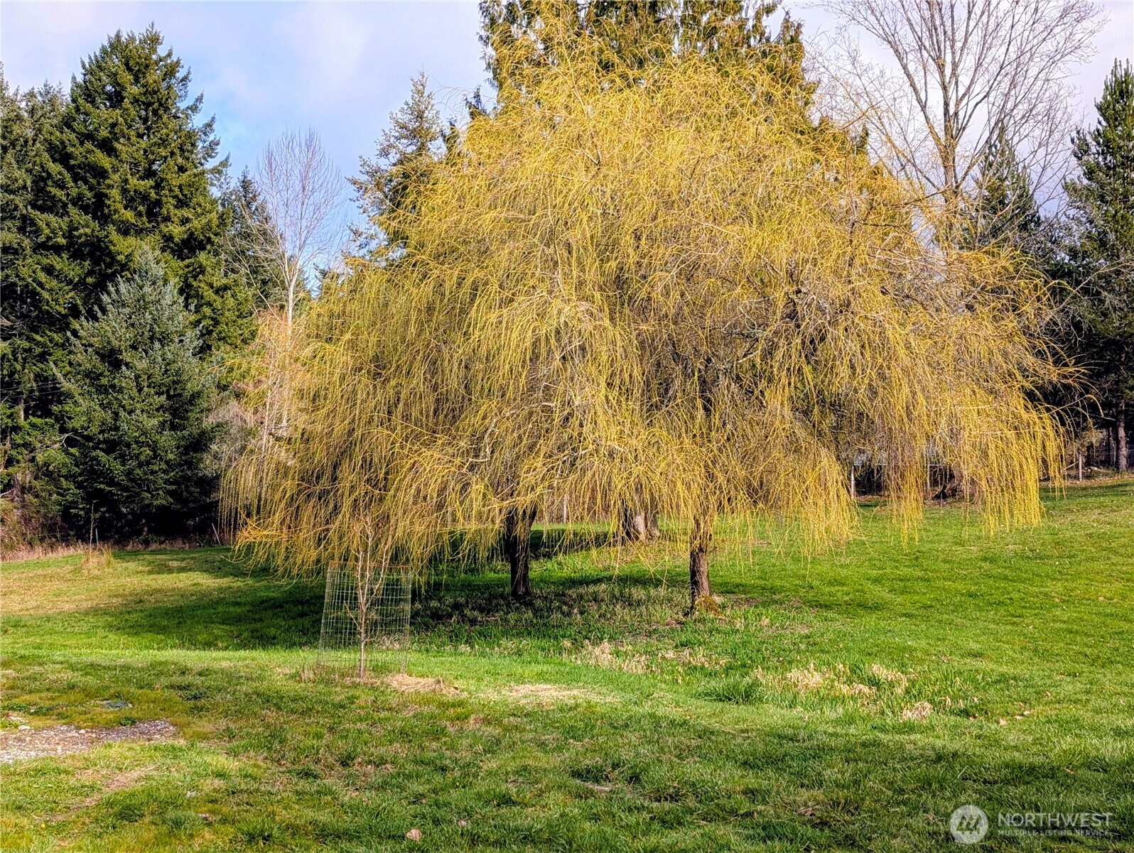 11108 Bliss Cochrane Road NW, Gig Harbor, WA 98329