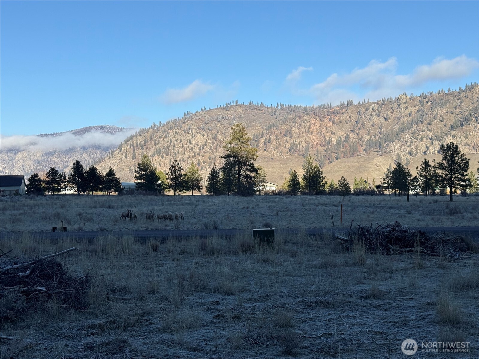99147 Sterling Valley Road N, Lincoln, WA 99147