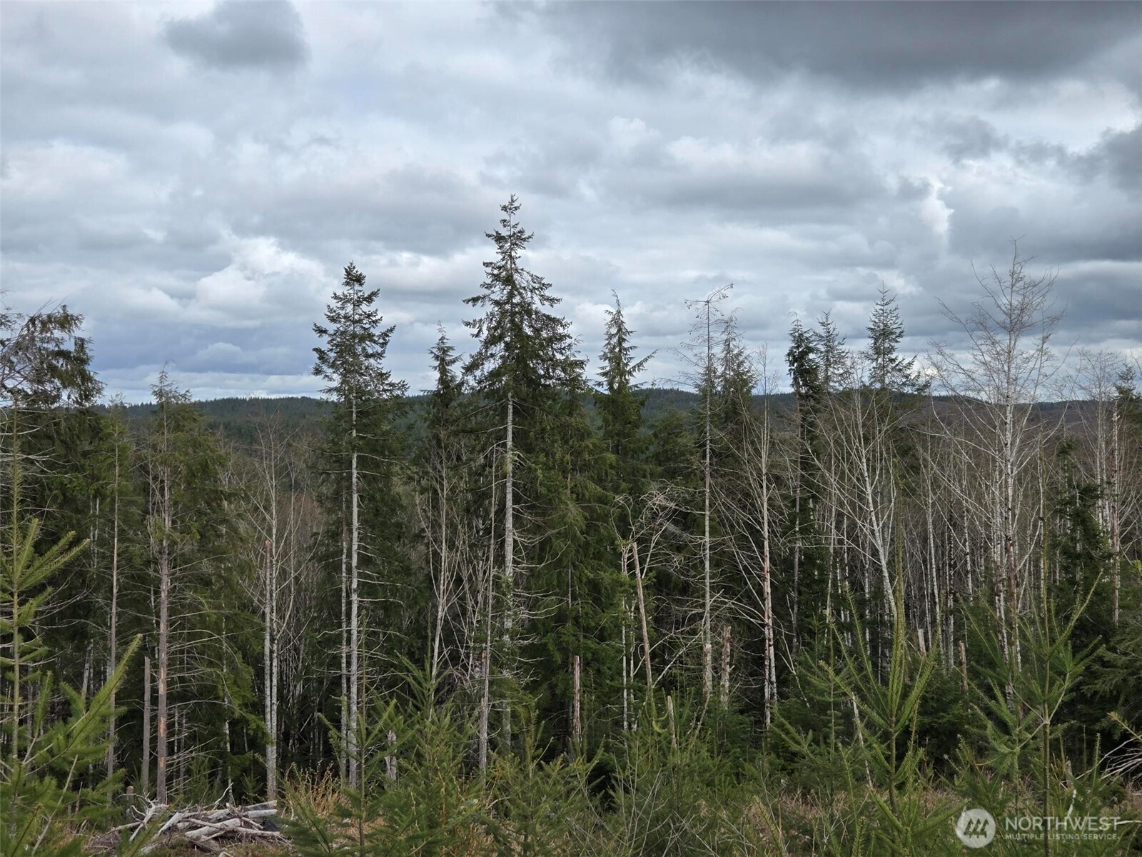 0 Off of Hoquiam Wishkah Road , Hoquiam, WA 98550