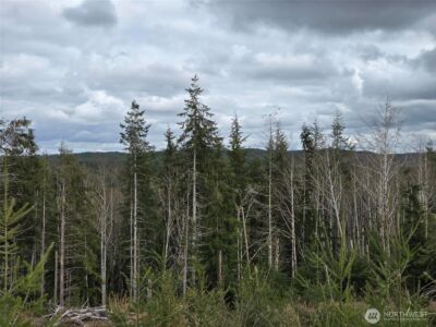 0 Off of Hoquiam Wishkah Road , Hoquiam, WA 98550