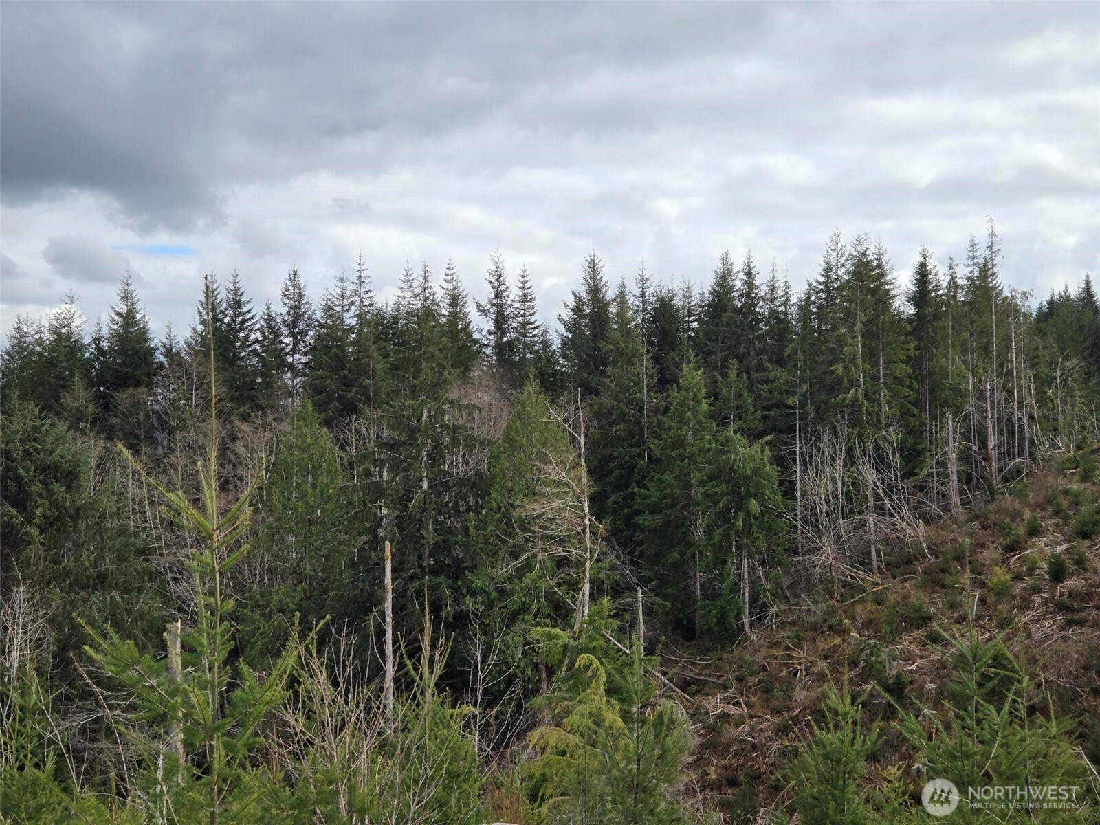 0 Off of Hoquiam Wishkah Road , Hoquiam, WA 98550