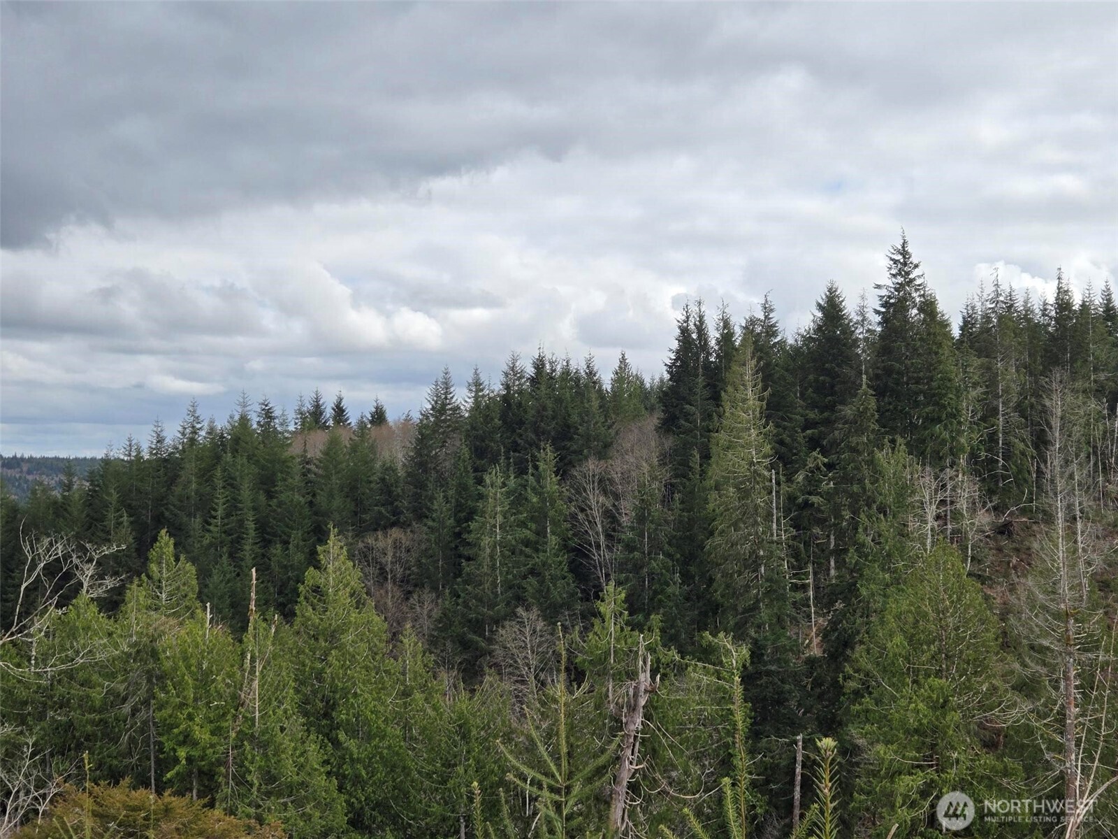 0 Off of Hoquiam Wishkah Road , Hoquiam, WA 98550