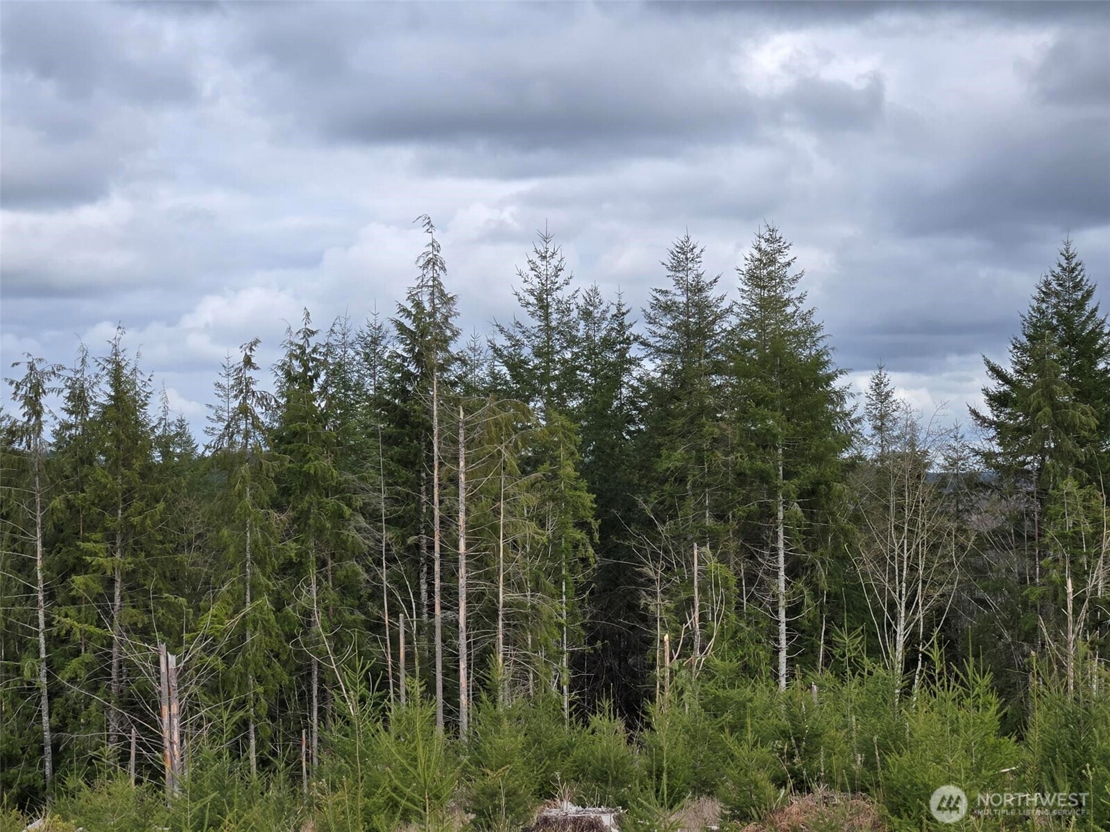 0 Off of Hoquiam Wishkah Road , Hoquiam, WA 98550