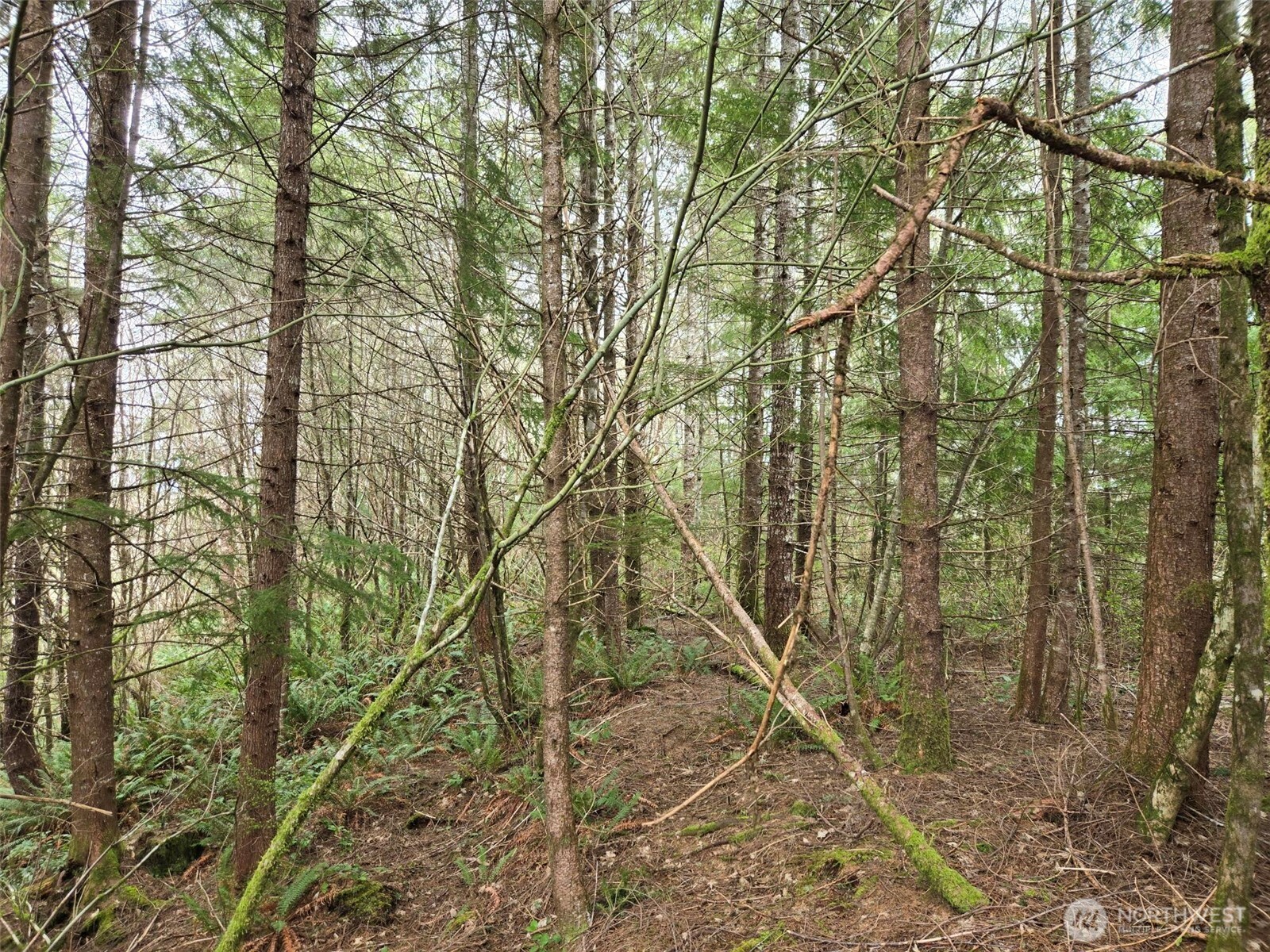 0 Off of Hoquiam Wishkah Road , Hoquiam, WA 98550