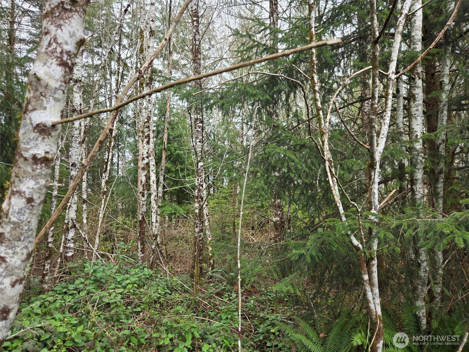 0 Off of Hoquiam Wishkah Road , Hoquiam, WA 98550