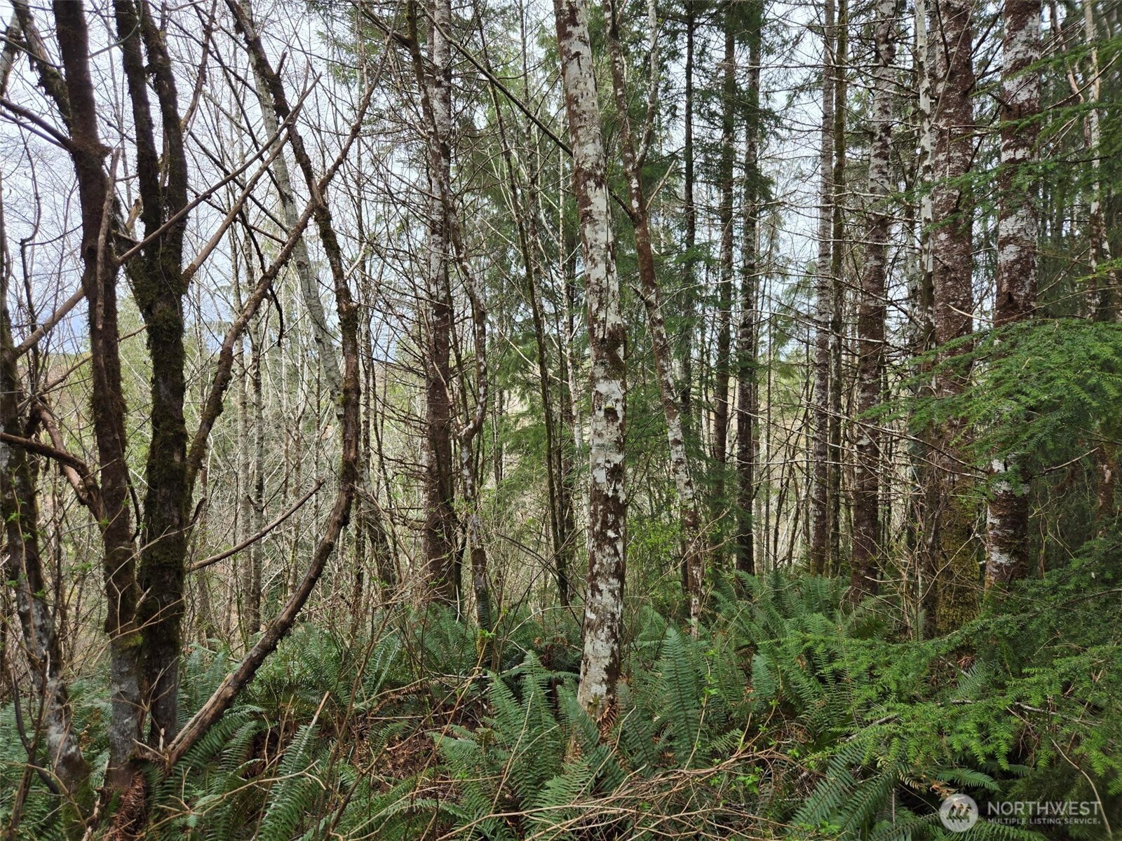 0 Off of Hoquiam Wishkah Road , Hoquiam, WA 98550