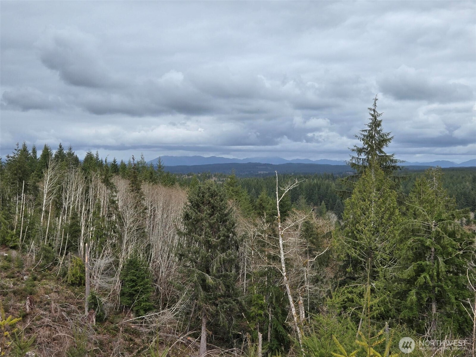 0 Off of Hoquiam Wishkah Road , Hoquiam, WA 98550