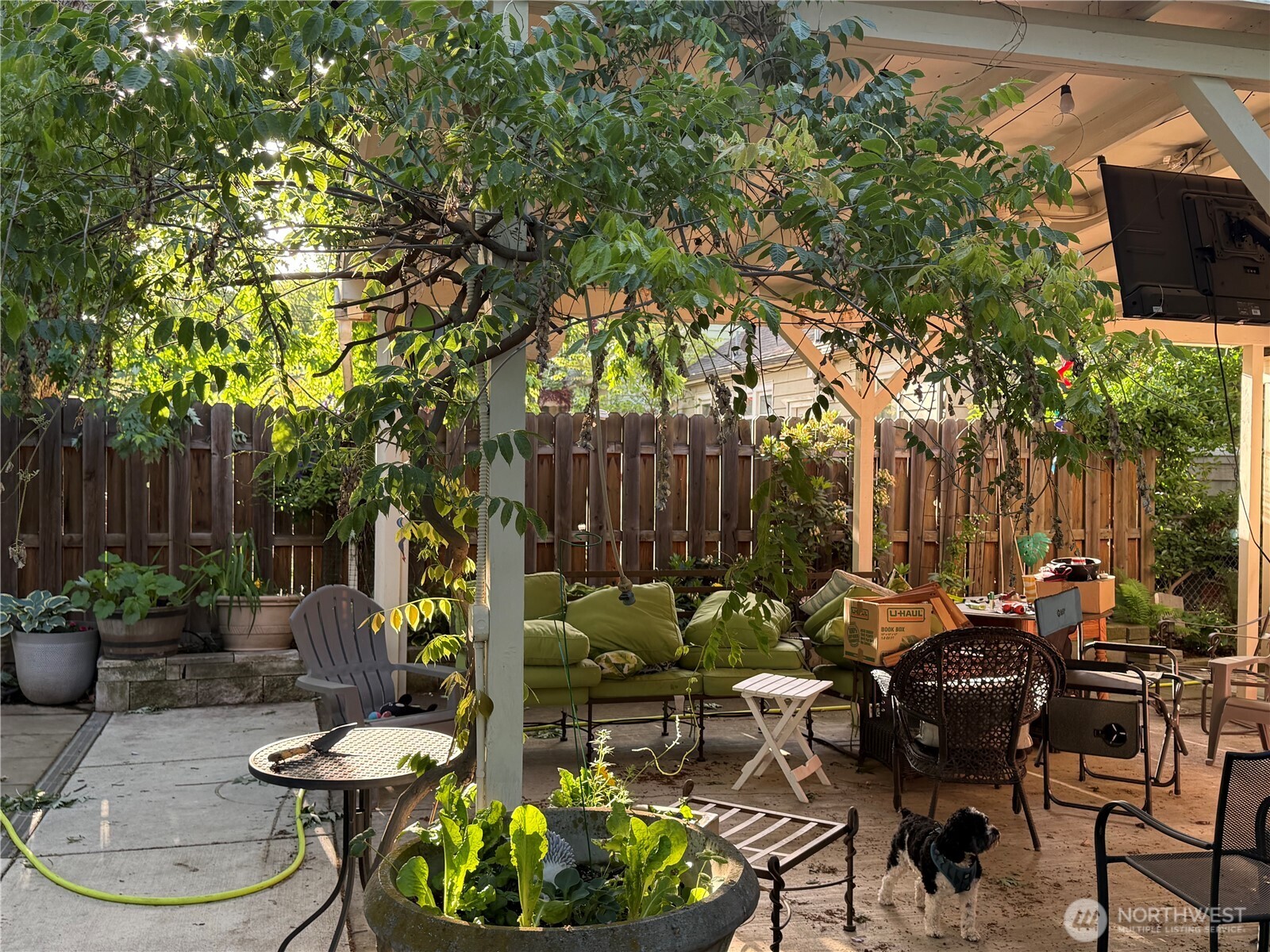 1123 Olive Street , Walla Walla, WA 99362