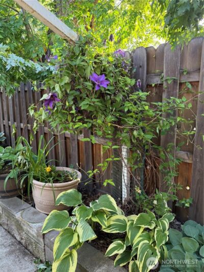 1123 Olive Street , Walla Walla, WA 99362 - Photo 15