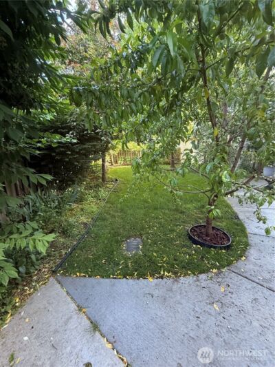 1123 Olive Street , Walla Walla, WA 99362 - Photo 6