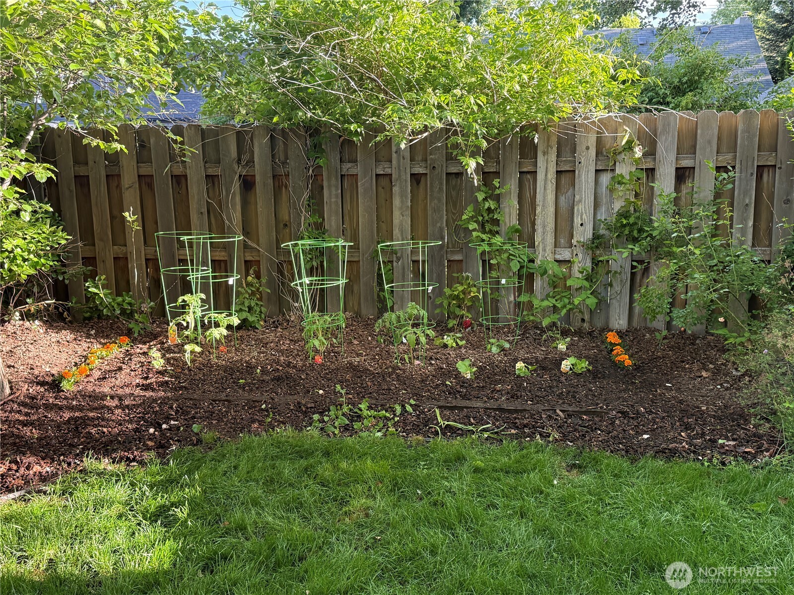 1123 Olive Street , Walla Walla, WA 99362