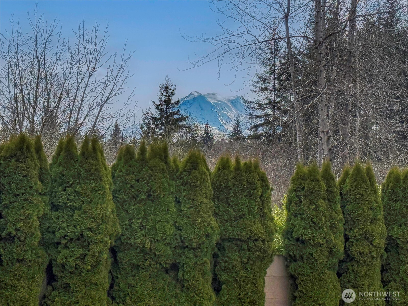 14509 272nd Street E, Graham, WA 98338