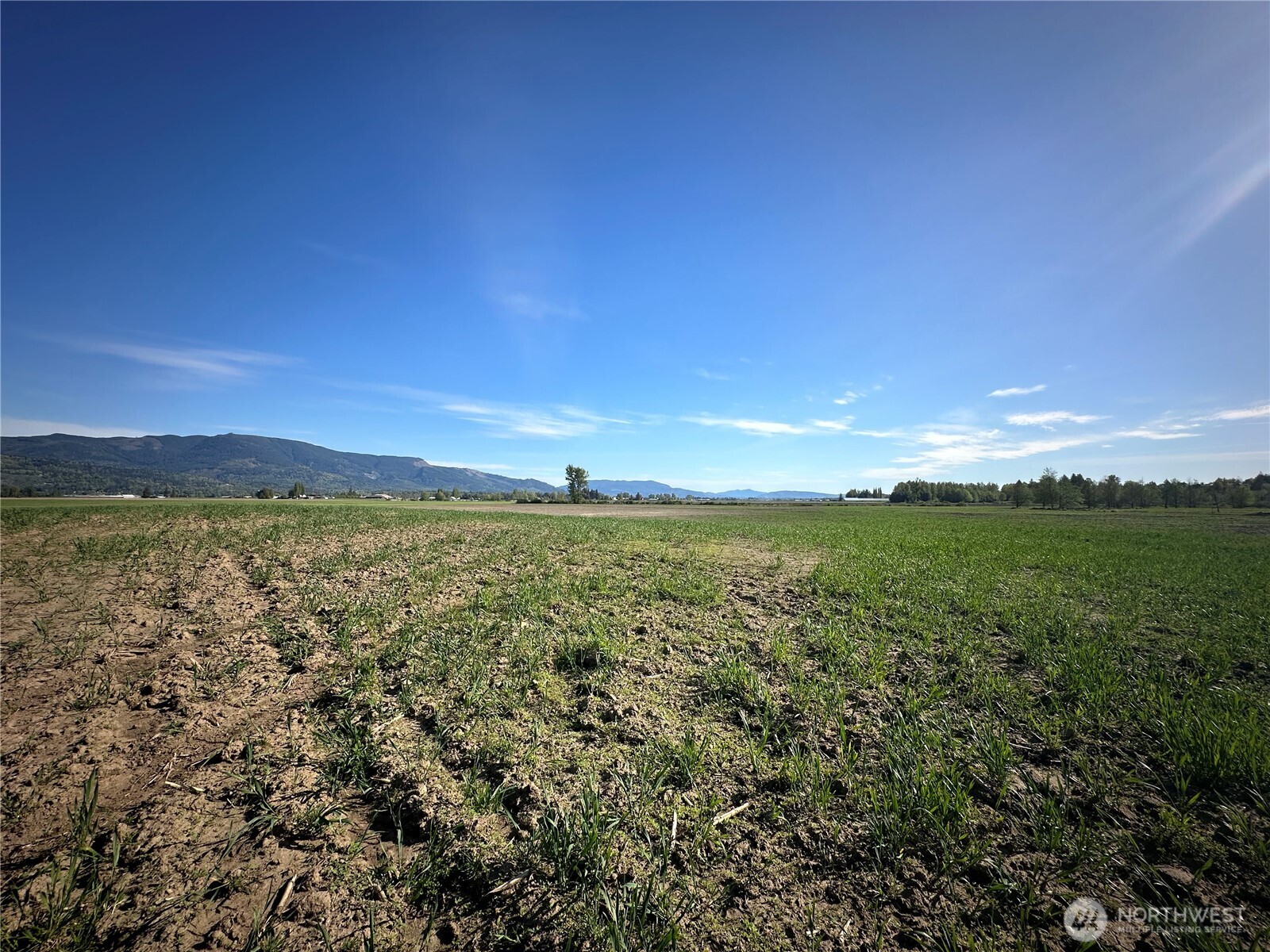 0 Clearbrook Road , Sumas, WA 98295
