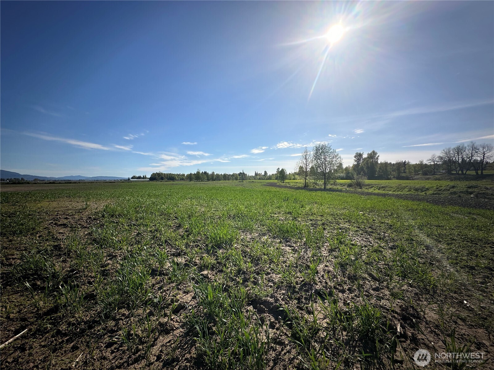 0 Clearbrook Road , Sumas, WA 98295