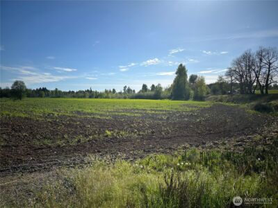 0 Clearbrook Road , Sumas, WA 98295 - Photo 15