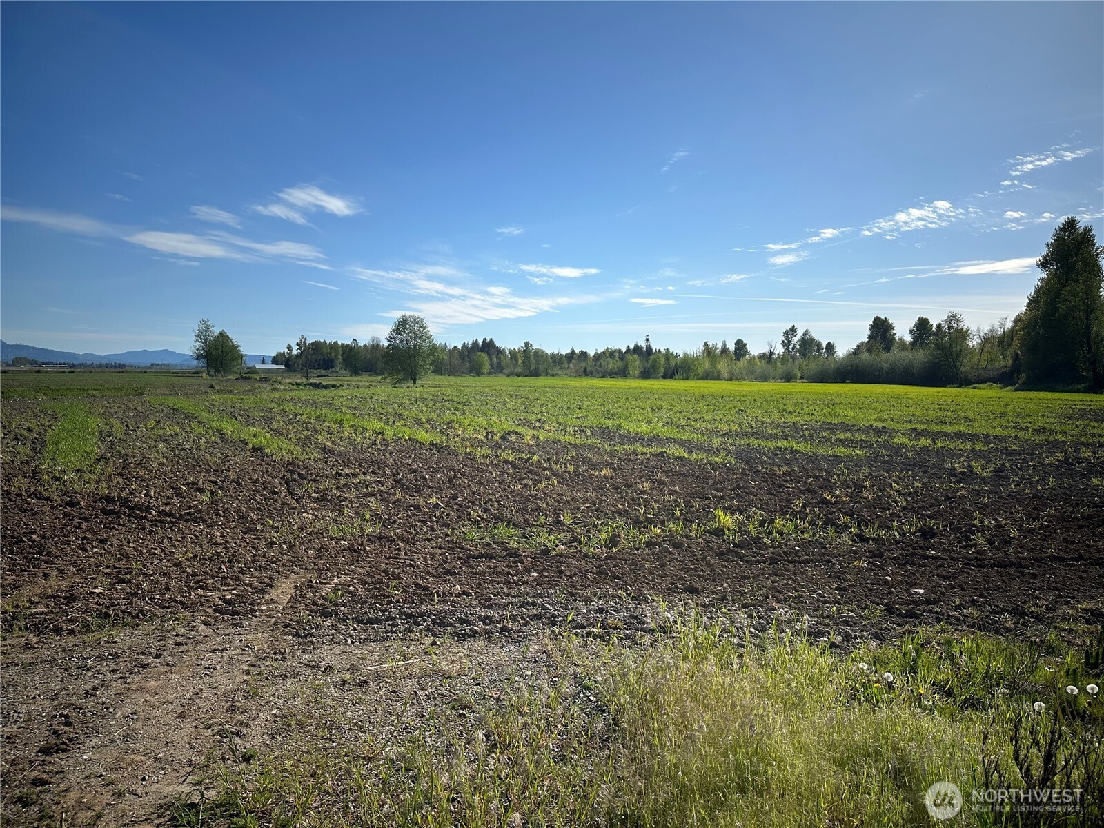 0 Clearbrook Road , Sumas, WA 98295