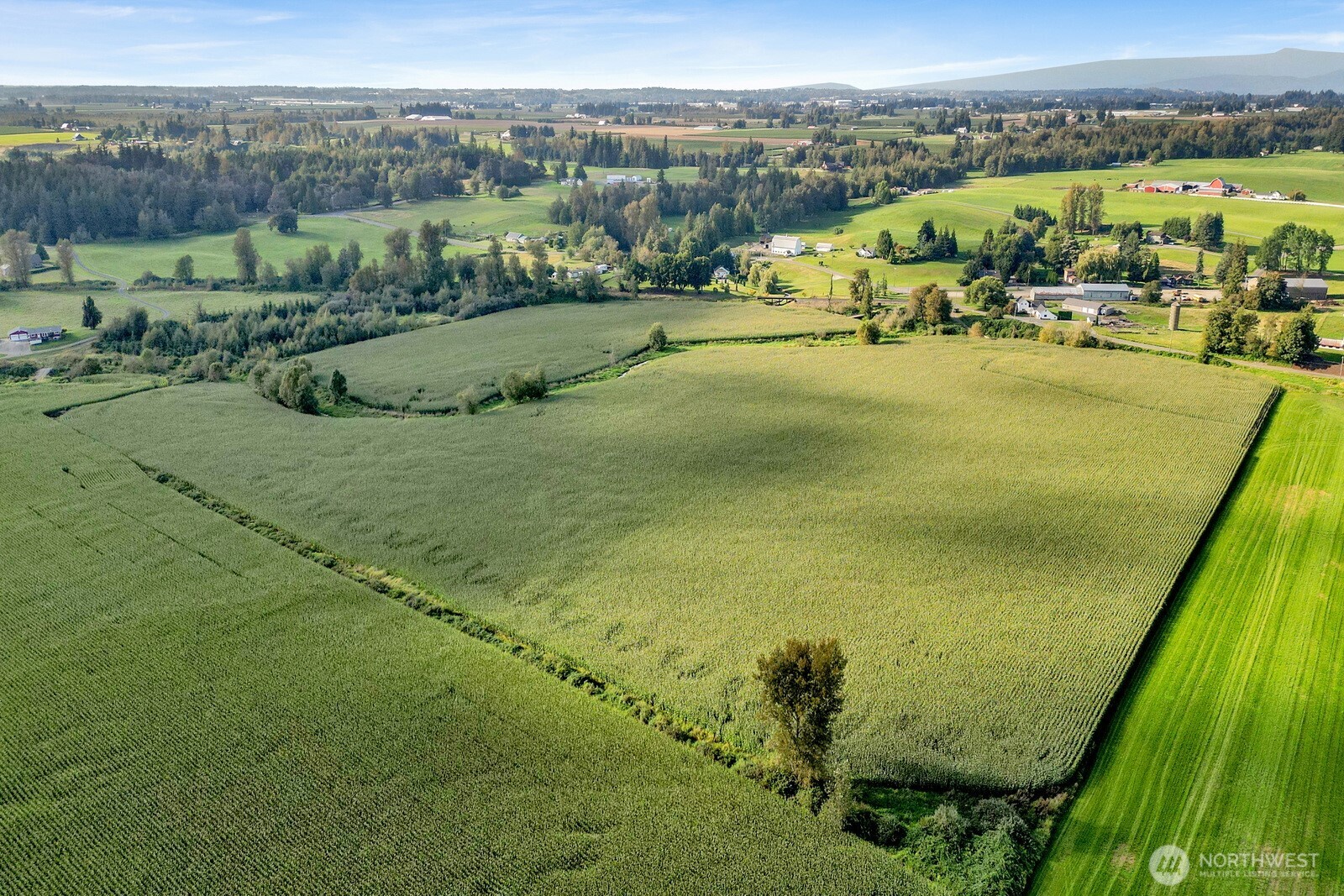 0 Clearbrook Road , Sumas, WA 98295