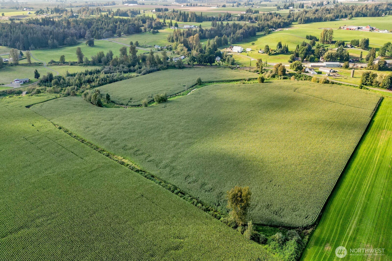 0 Clearbrook Road , Sumas, WA 98295