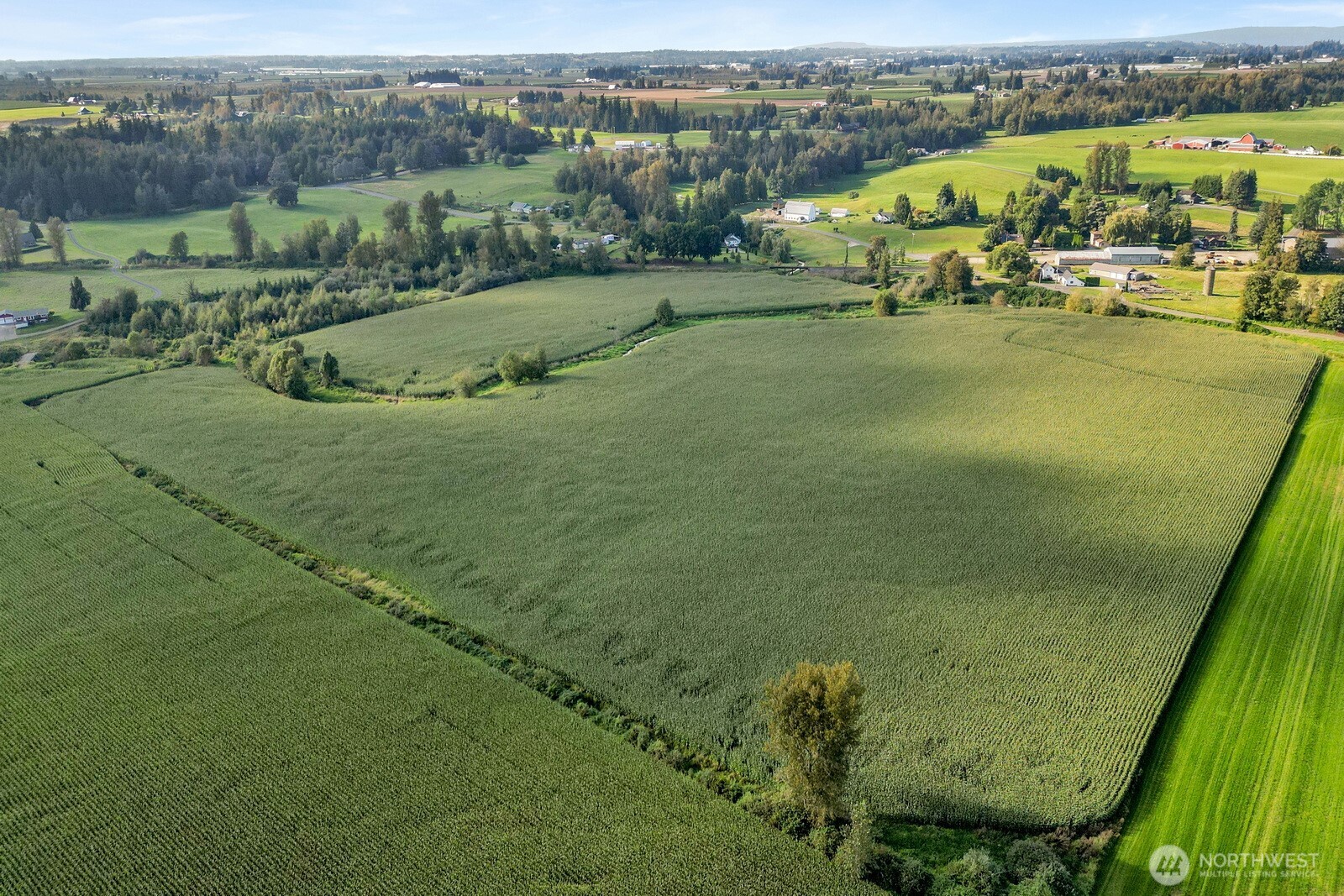 0 Clearbrook Road , Sumas, WA 98295