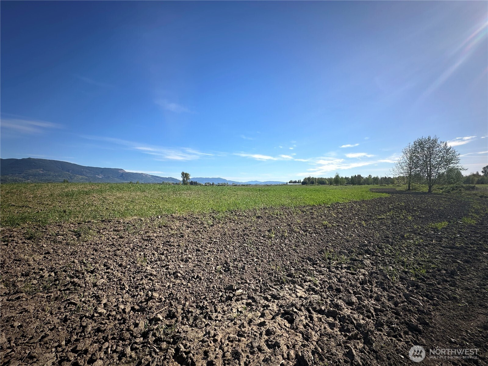 0 Clearbrook Road , Sumas, WA 98295