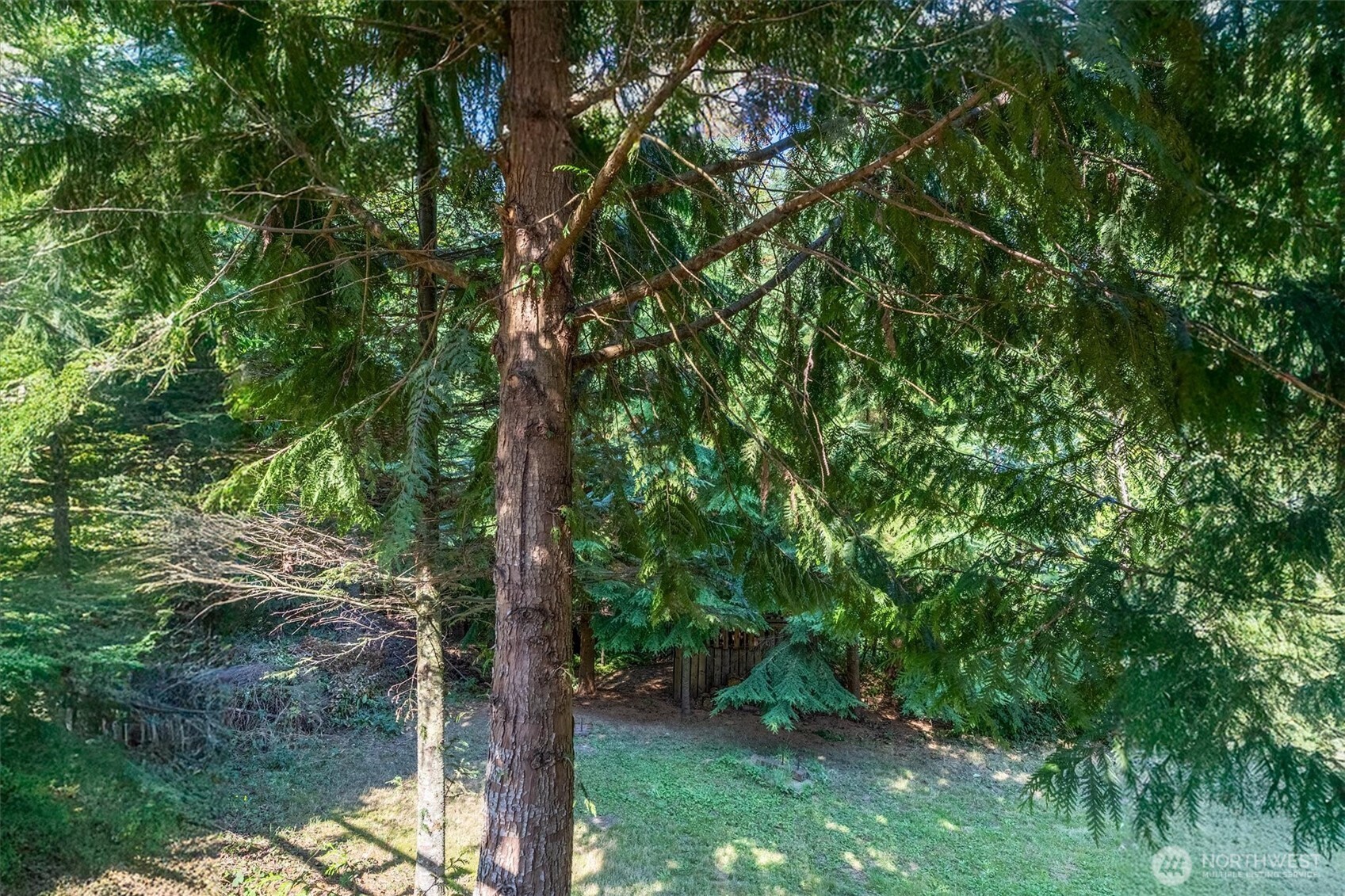 1604 Tara Court , Kelso, WA 98626