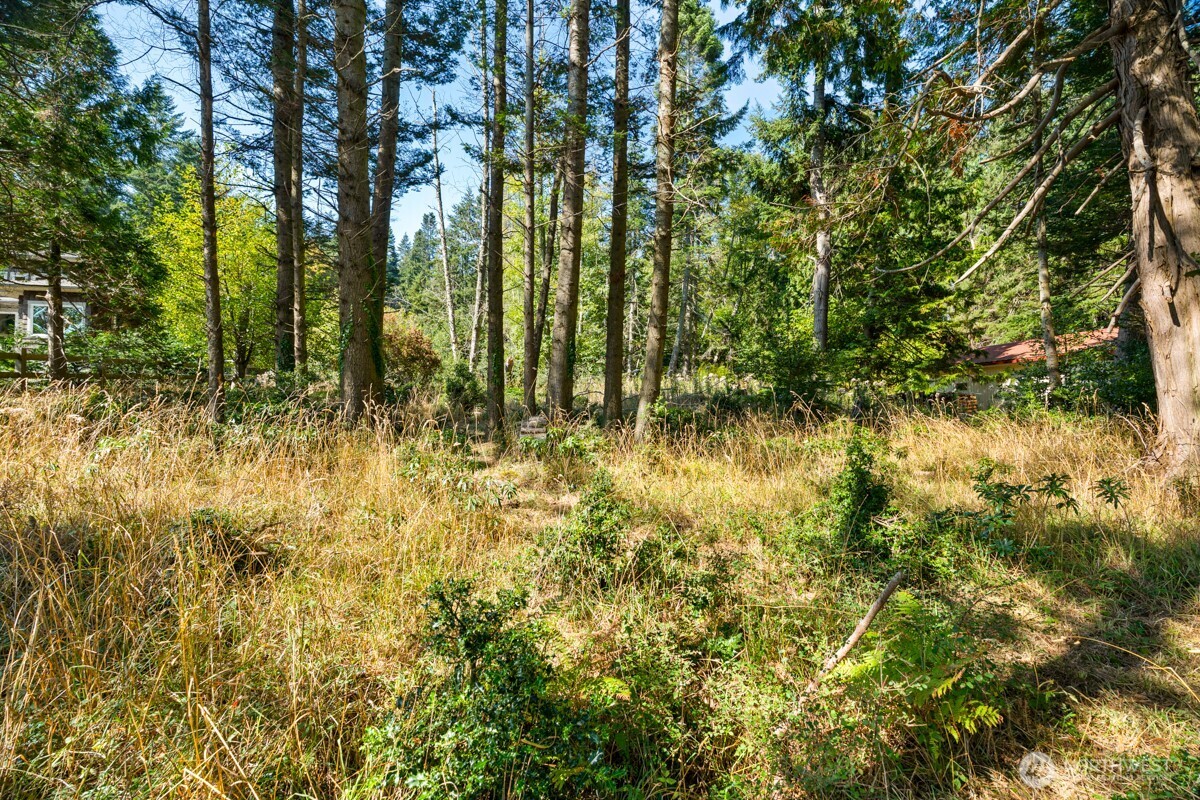 0 San Juan Drive , Friday Harbor, WA 98250