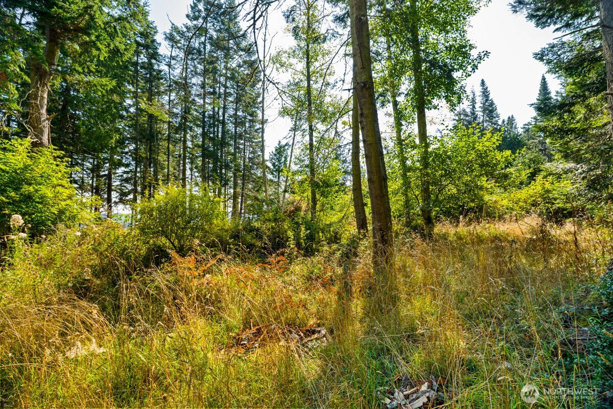 0 San Juan Drive , Friday Harbor, WA 98250