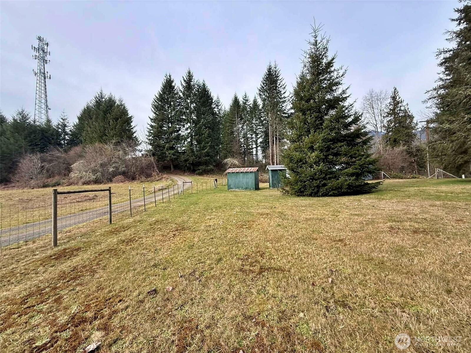 384 Peters Road , Randle, WA 98377