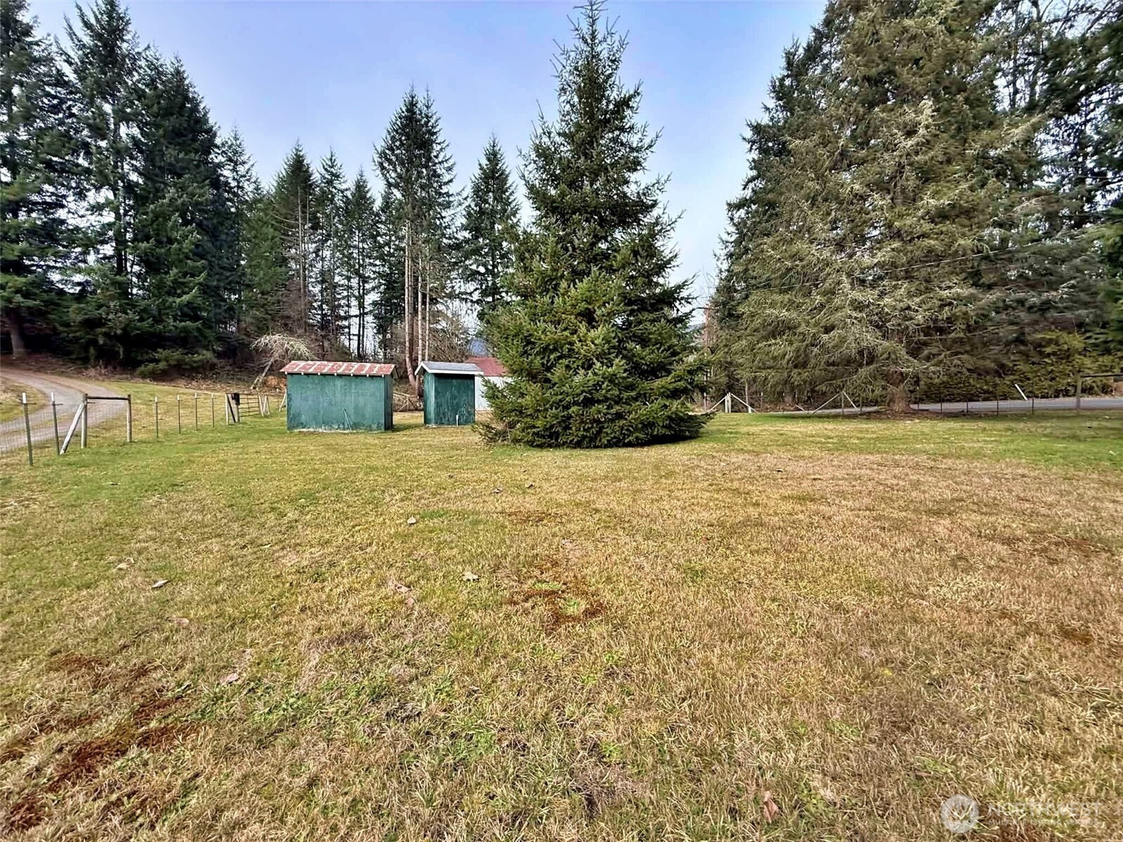 384 Peters Road , Randle, WA 98377
