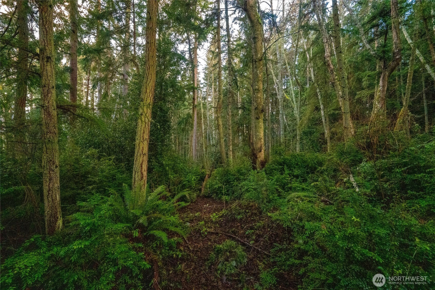 4145 Glendale Road , Clinton, WA 98236