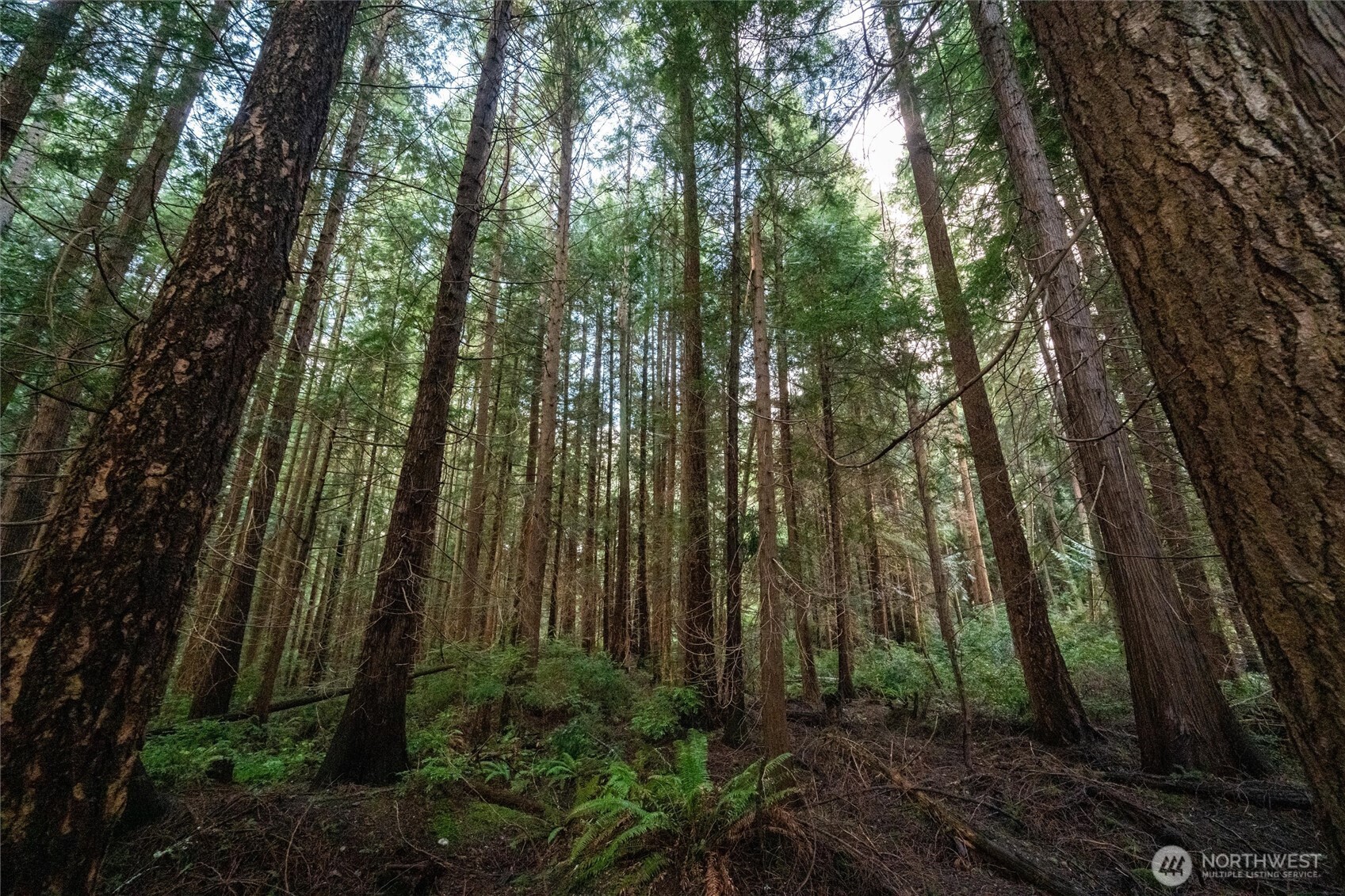 4145 Glendale Road , Clinton, WA 98236