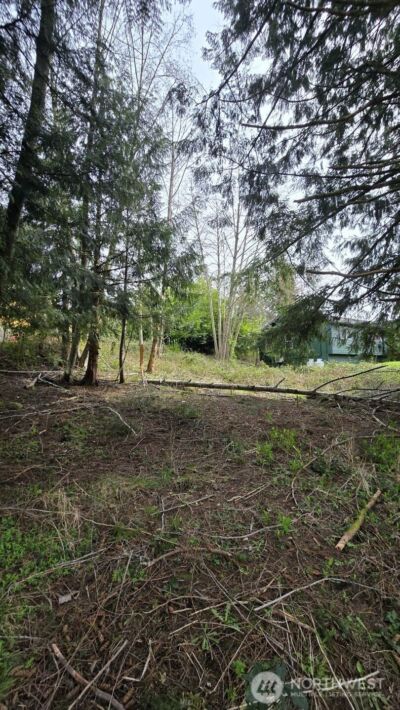 340 Ridgeway Place , Sedro Woolley, WA 98284 - Photo 4