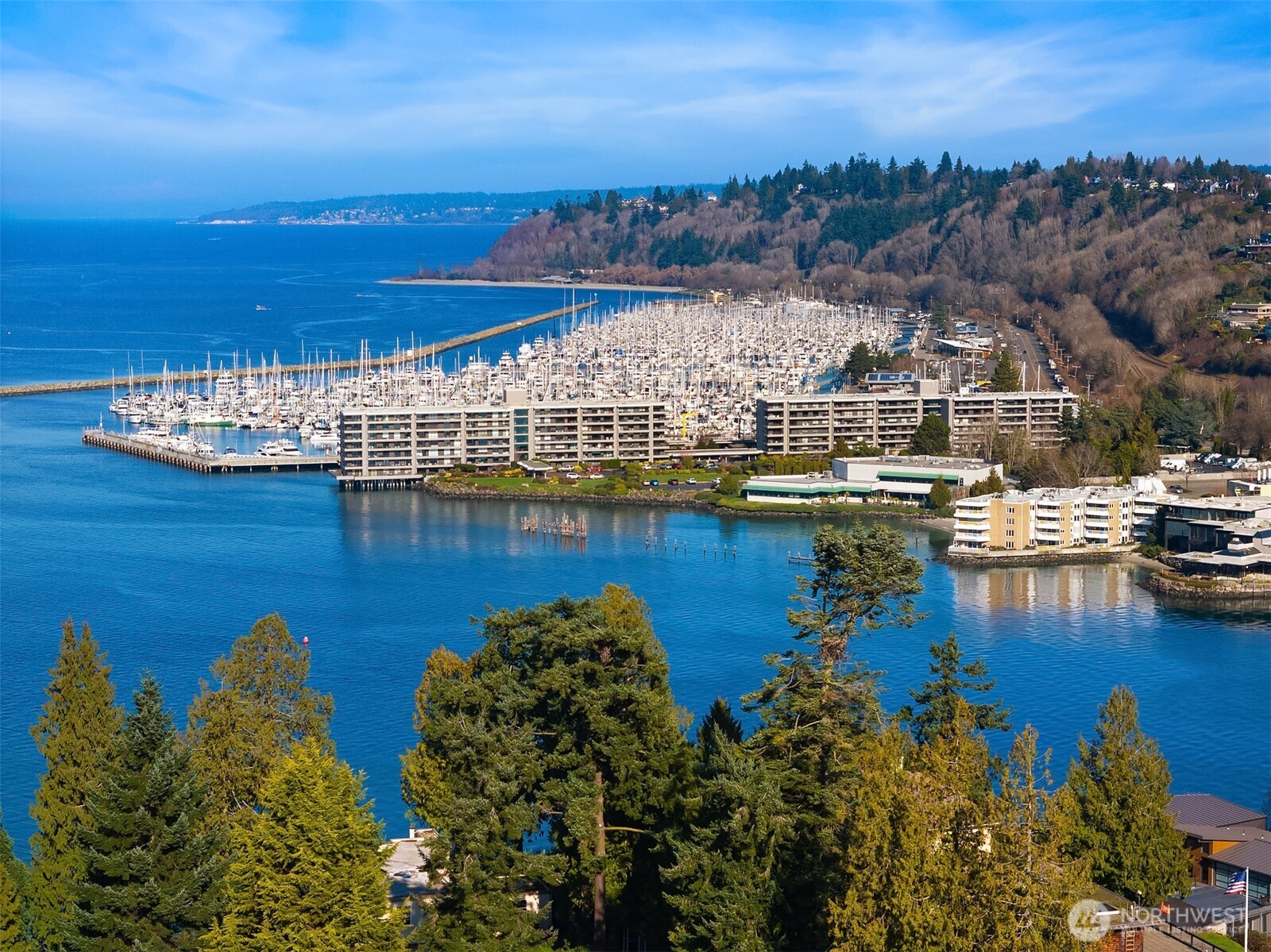 4240 W Cramer Street , Seattle, WA 98199-1005