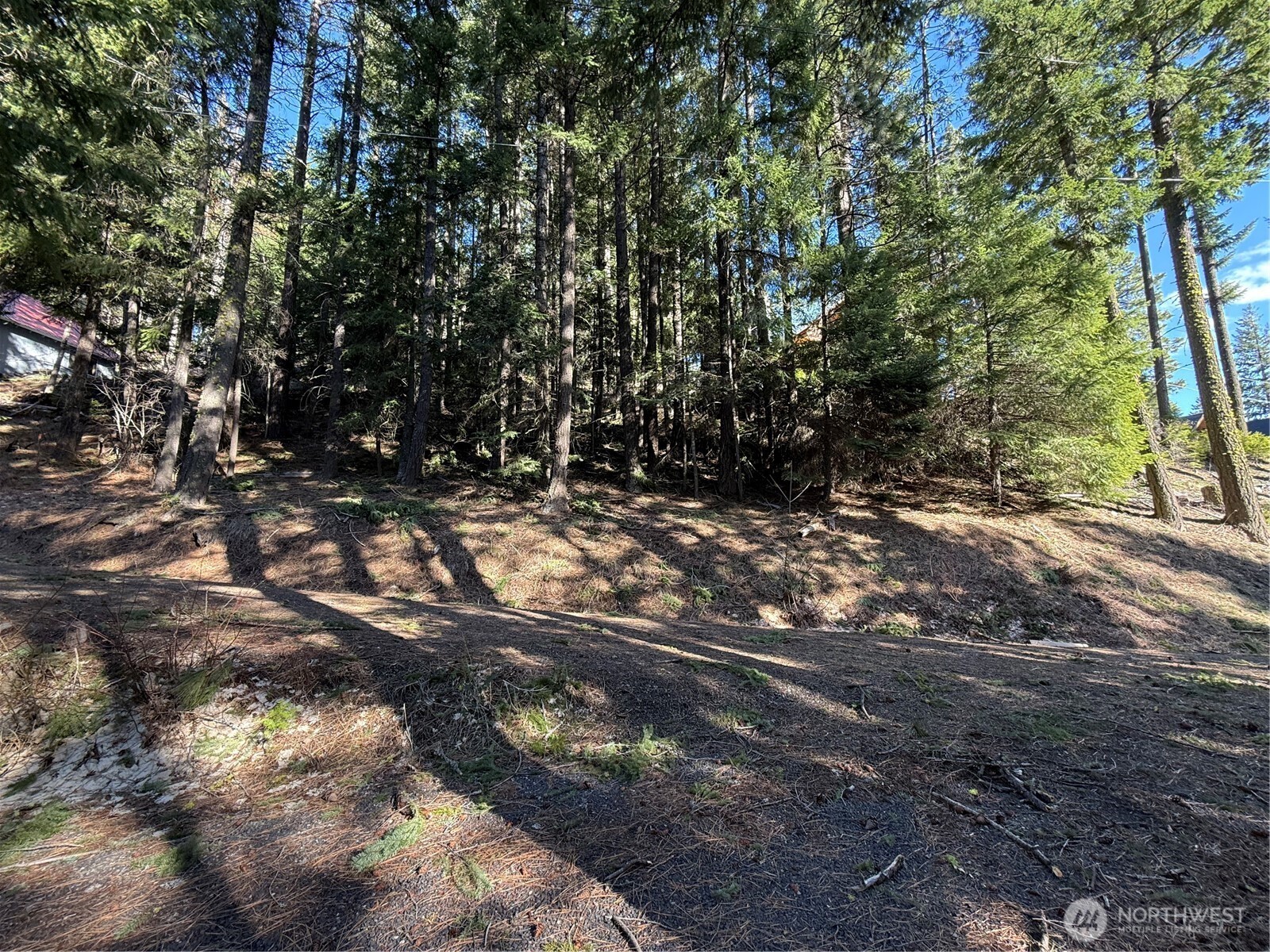 100 Lakeview Drive , Ronald, WA 98940