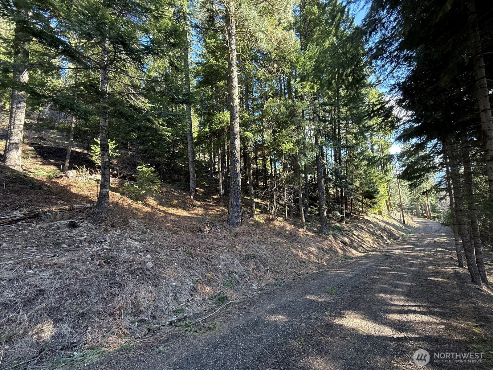 100 Lakeview Drive , Ronald, WA 98940