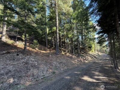 100 Lakeview Drive , Ronald, WA 98940 - Photo 15