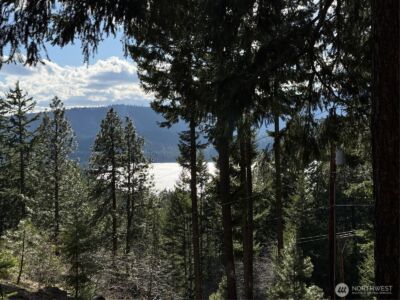 100 Lakeview Drive , Ronald, WA 98940 - Photo 2