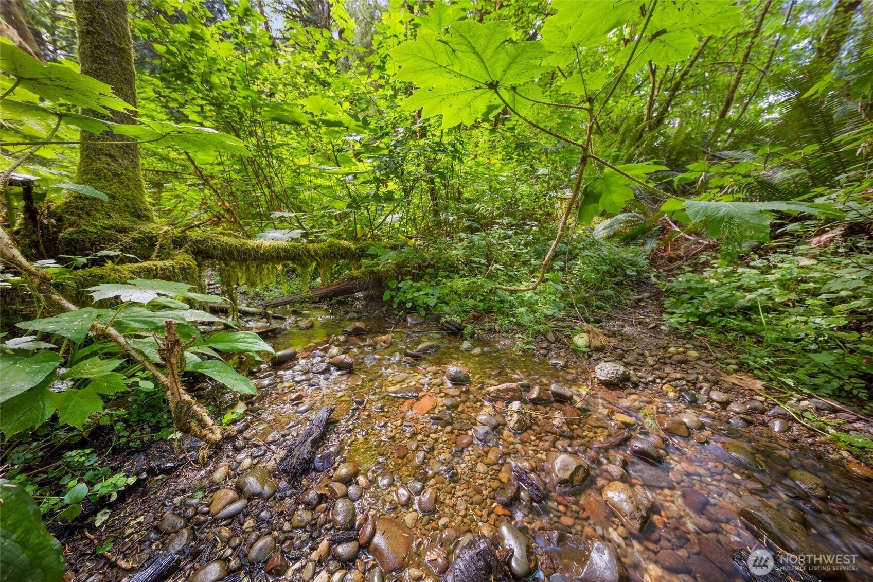 3211 W Little Egypt , Shelton, WA 98584