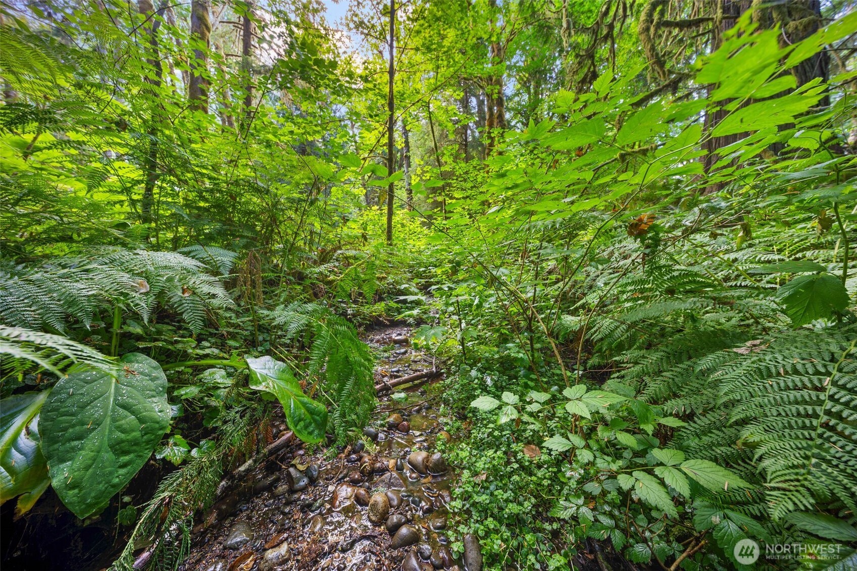 3211 W Little Egypt , Shelton, WA 98584