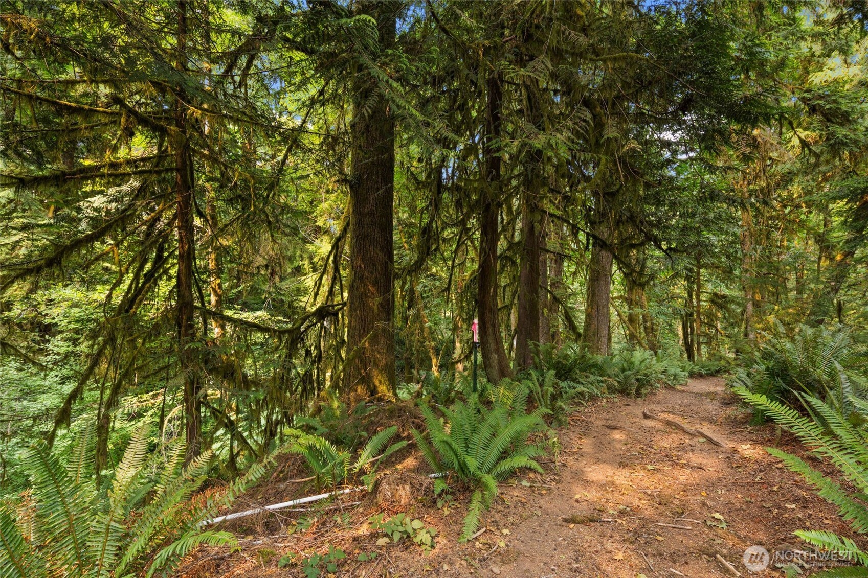 3211 W Little Egypt , Shelton, WA 98584