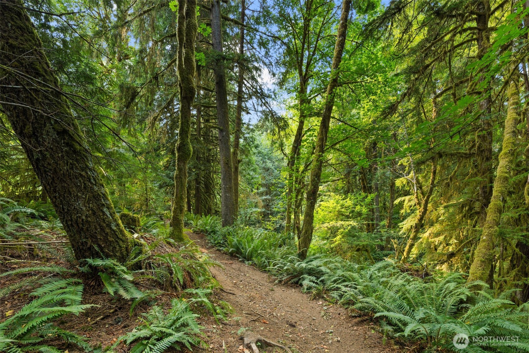 3211 W Little Egypt , Shelton, WA 98584