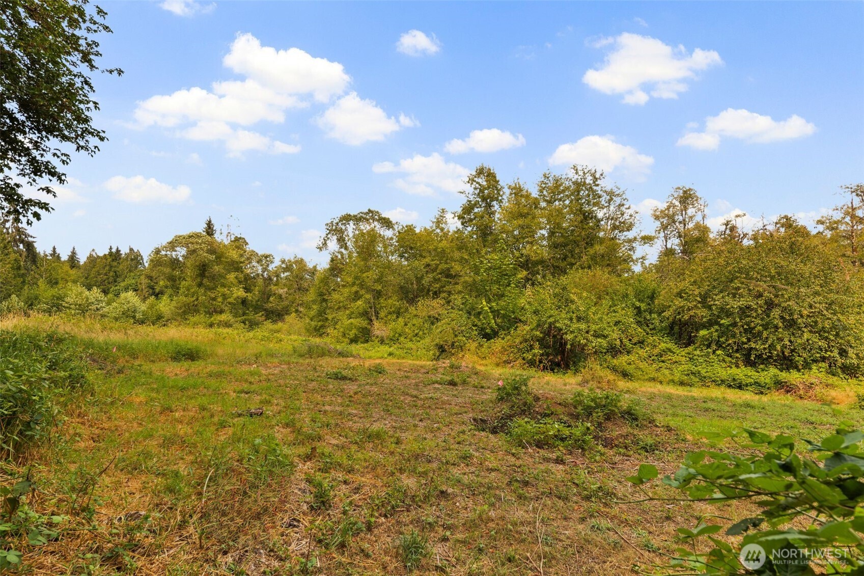 3211 W Little Egypt , Shelton, WA 98584