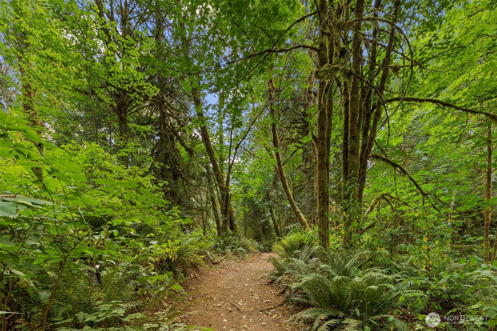 3211 W Little Egypt , Shelton, WA 98584