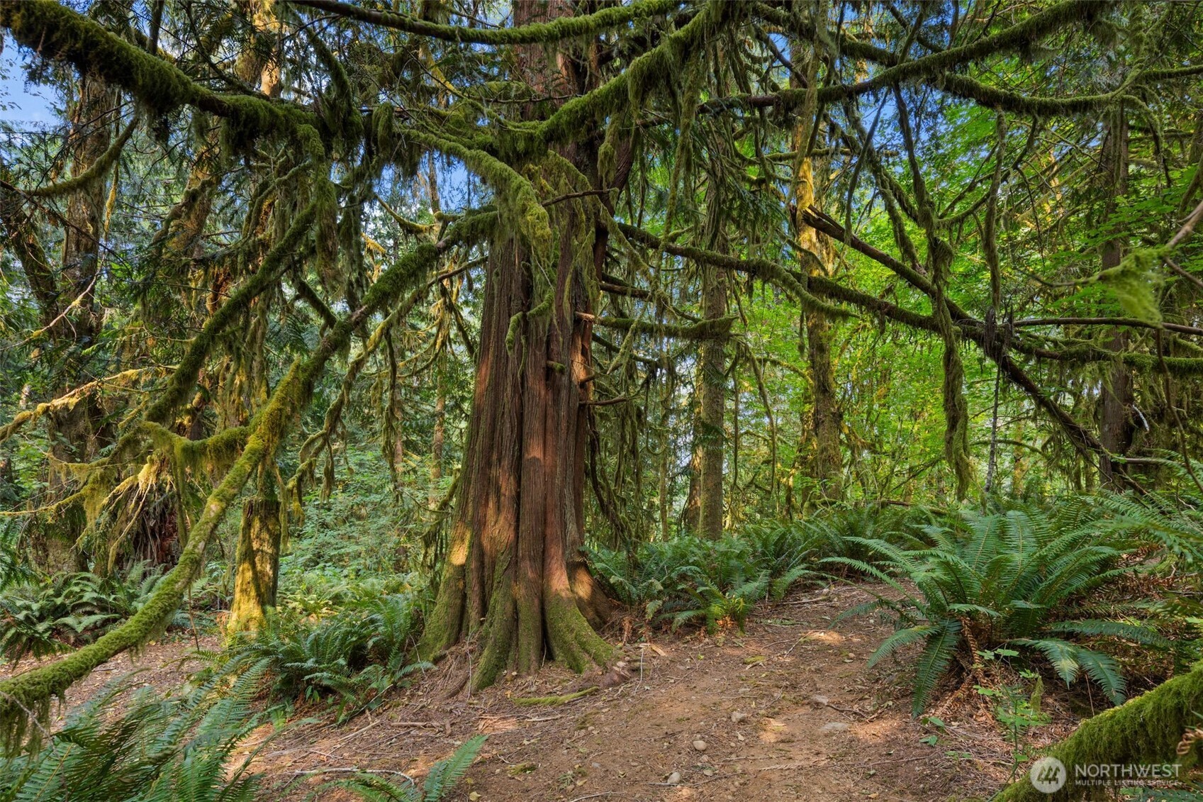 3211 W Little Egypt , Shelton, WA 98584