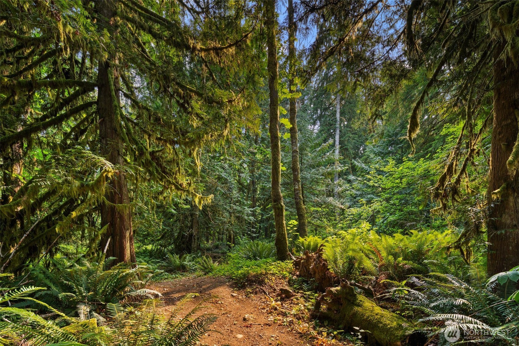 3211 W Little Egypt , Shelton, WA 98584