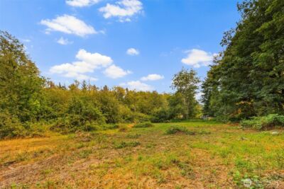 3211 W Little Egypt , Shelton, WA 98584 - Photo 29