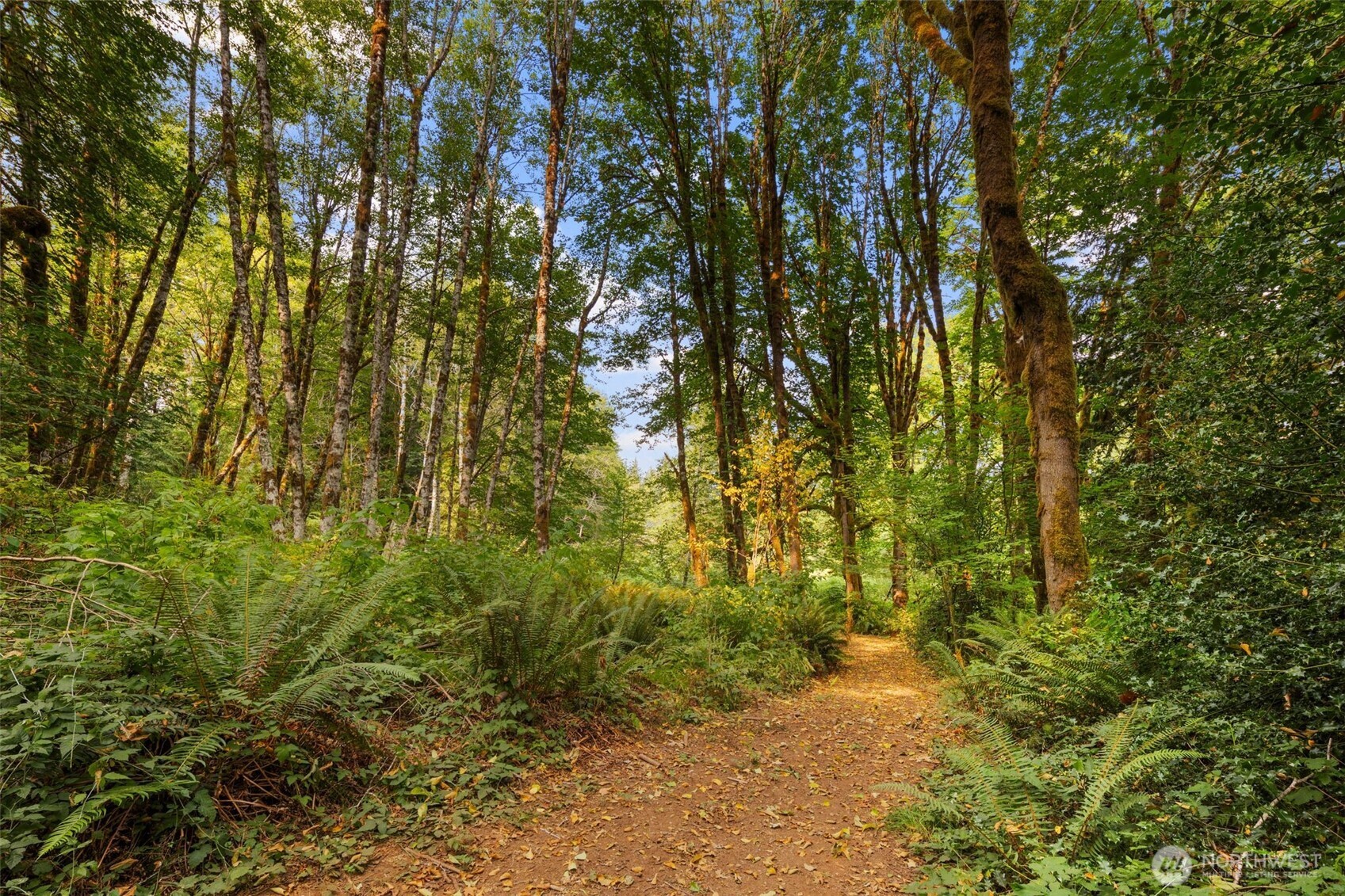 3211 W Little Egypt , Shelton, WA 98584